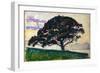 Large Pine, Saint-Tropez, 1892-1893-Paul Signac-Framed Giclee Print