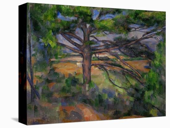 Large Pine Tree and Red Earth, 1890-1895-Paul Cézanne-Stretched Canvas