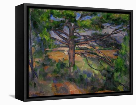 Large Pine Tree and Red Earth, 1890-1895-Paul Cézanne-Framed Stretched Canvas