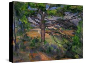 Large Pine Tree and Red Earth, 1890-1895-Paul Cézanne-Stretched Canvas