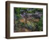 Large Pine Tree and Red Earth, 1890-1895-Paul Cézanne-Framed Giclee Print