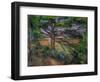 Large Pine Tree and Red Earth, 1890-1895-Paul Cézanne-Framed Giclee Print