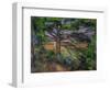 Large Pine Tree and Red Earth, 1890-1895-Paul Cézanne-Framed Giclee Print