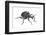 Large Pine Weevil (Hylobius Abietis), Slovenia, Europe, July, Meetyourneighbours.Net Project-Marko Masterl-Framed Photographic Print