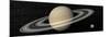 Large Planet Saturn and its Rings Next to Small Planet Earth-null-Mounted Art Print