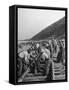 Large Railroad Crews Prying Up Track and Putting in Switch on Railroad Running Through Cajon Pass-Peter Stackpole-Framed Stretched Canvas