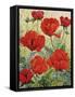 Large Red Poppies-Christopher Ryland-Framed Stretched Canvas