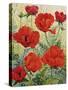 Large Red Poppies-Christopher Ryland-Stretched Canvas