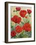 Large Red Poppies-Christopher Ryland-Framed Giclee Print