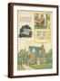Brown Frame