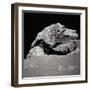Large Rock on the Moon-null-Framed Photographic Print