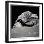 Large Rock on the Moon-null-Framed Photographic Print