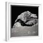Large Rock on the Moon-null-Framed Photographic Print
