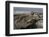 Large Rocks by Flaajokull Glacier, Vatanjokull Ice Cap, Iceland-Arctic-Images-Framed Photographic Print