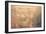 Large Rust Backgrounds-ilolab-Framed Art Print