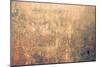 Large Rust Backgrounds-ilolab-Mounted Art Print