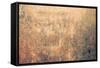 Large Rust Backgrounds-ilolab-Framed Stretched Canvas