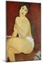 Large Seated Nude by Amedeo Modigliani-null-Mounted Premium Photographic Print