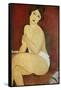 Large Seated Nude by Amedeo Modigliani-null-Framed Stretched Canvas
