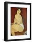 Large Seated Nude by Amedeo Modigliani-null-Framed Photographic Print