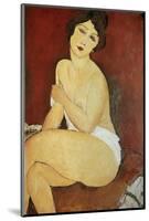 Large Seated Nude by Amedeo Modigliani-null-Mounted Photographic Print