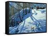 Large Snowball, Zermatt-Andrew Macara-Framed Stretched Canvas