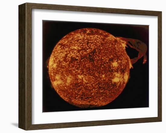 Large Solar Prominence in Extreme Ultraviolet Light, 1973-null-Framed Giclee Print