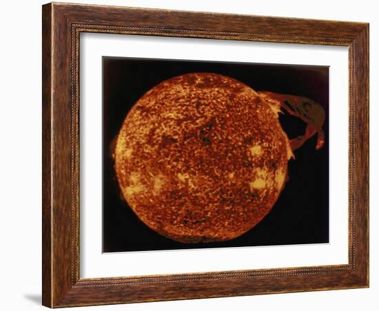 Large Solar Prominence in Extreme Ultraviolet Light, 1973-null-Framed Giclee Print