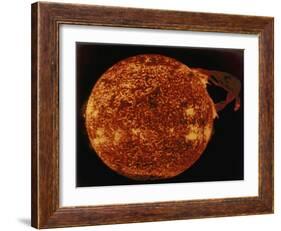 Large Solar Prominence in Extreme Ultraviolet Light, 1973-null-Framed Giclee Print