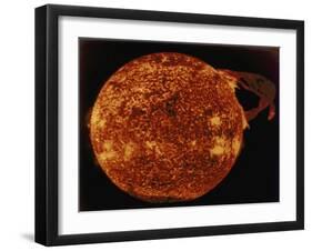 Large Solar Prominence in Extreme Ultraviolet Light, 1973-null-Framed Giclee Print