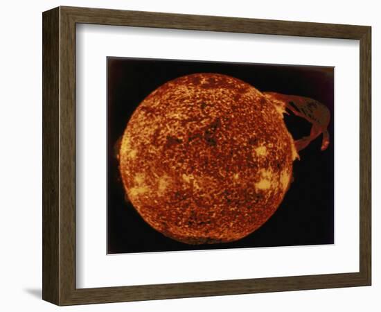 Large Solar Prominence in Extreme Ultraviolet Light, 1973-null-Framed Giclee Print