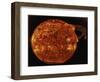 Large Solar Prominence in Extreme Ultraviolet Light, 1973-null-Framed Giclee Print