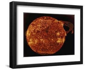 Large Solar Prominence in Extreme Ultraviolet Light, 1973-null-Framed Giclee Print