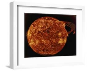 Large Solar Prominence in Extreme Ultraviolet Light, 1973-null-Framed Giclee Print