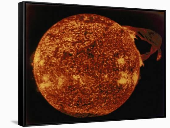 Large Solar Prominence in Extreme Ultraviolet Light, 1973-null-Framed Stretched Canvas