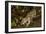 Large- Spotted Genet-null-Framed Photographic Print