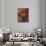 Large Still life: Red and Yellow Dahlia-Alexej Von Jawlensky-Giclee Print displayed on a wall