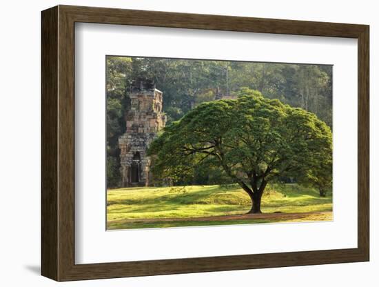 Large Tree and Prasat Suor Prat Temple, Angkor Thom, Cambodia-smithore-Framed Photographic Print