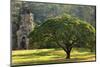 Large Tree and Prasat Suor Prat Temple, Angkor Thom, Cambodia-smithore-Mounted Photographic Print