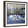 Large Tree and Tobogganers, Youlgreave, Derbyshire-Andrew Macara-Framed Giclee Print