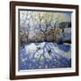 Large Tree and Tobogganers, Youlgreave, Derbyshire-Andrew Macara-Framed Giclee Print