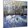 Large Tree and Tobogganers, Youlgreave, Derbyshire-Andrew Macara-Mounted Premium Giclee Print