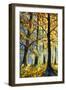 Large Tree in a Sunny Forest-Valery Rybakow-Framed Art Print