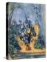 Large Vase in the Garden, C. 1895-Paul Cézanne-Stretched Canvas
