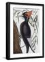 Large White Billed Woodpecker, Natural History of Carolina, Florida and the Bahamas Islands, 1731-Mark Catesby-Framed Giclee Print