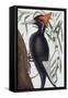 Large White Billed Woodpecker, Natural History of Carolina, Florida and the Bahamas Islands, 1731-Mark Catesby-Framed Stretched Canvas