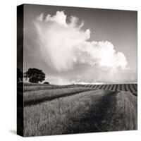 Large White Cloud Near Bilsington, Kent, 1981.-Fay Godwin-Stretched Canvas