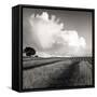 Large White Cloud Near Bilsington, Kent, 1981.-Fay Godwin-Framed Stretched Canvas