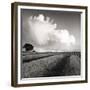 Large White Cloud Near Bilsington, Kent, 1981.-Fay Godwin-Framed Giclee Print