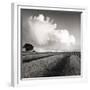 Large White Cloud Near Bilsington, Kent, 1981.-Fay Godwin-Framed Giclee Print